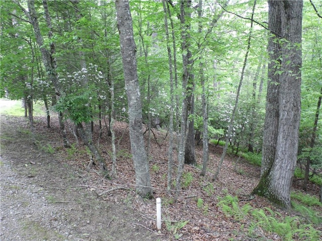 Listing photo 2 for TBD Deer Valley Rd, Piney Creek NC 28663