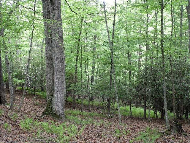 Listing photo 3 for TBD Deer Valley Rd, Piney Creek NC 28663