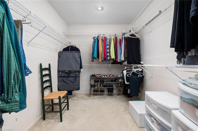 spacious closet featuring carpet