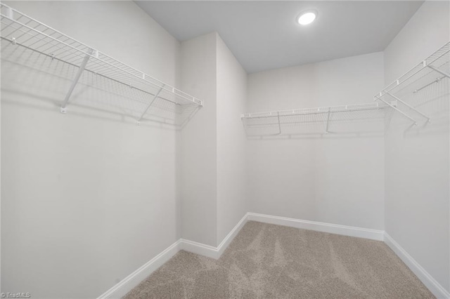 5751 Siler St, Trinity, NC 27370 - spacious closet with carpet
