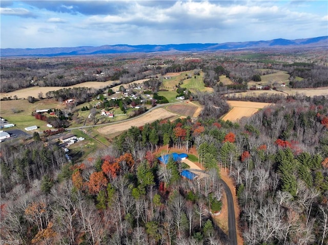 aerial view with a mountain view