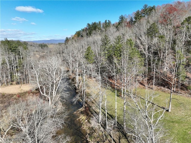 view of local wilderness