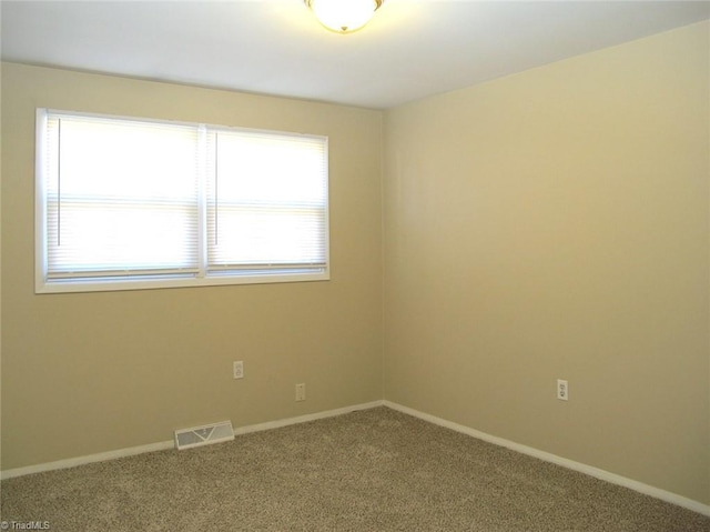 empty room featuring carpet flooring and a wealth of natural light