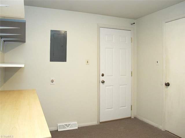 interior space with carpet, electric panel, and a closet