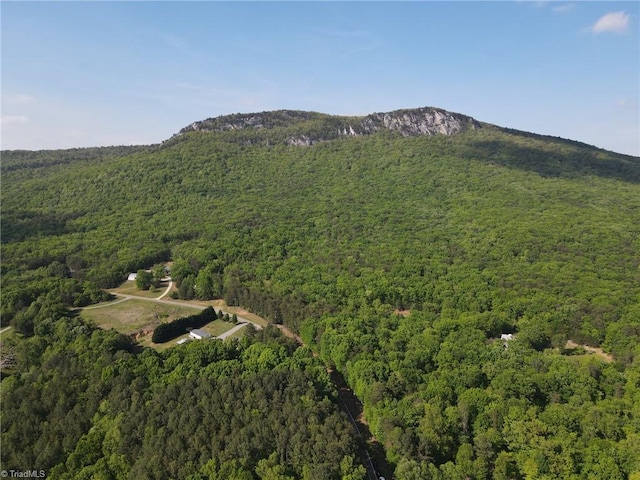 aerial view with a mountain view and a forest view