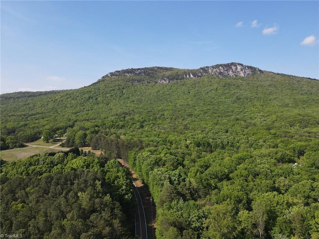 view of mountain feature featuring a forest view