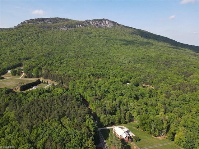 birds eye view of property with a wooded view and a mountain view