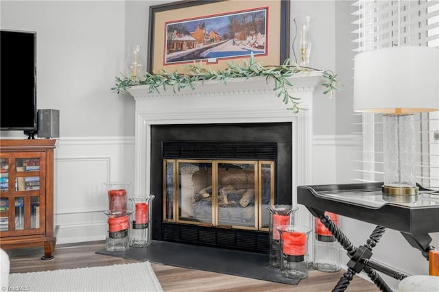 149 Warwicke Pl, Bermuda Run, NC 27006 - detailed view of a glass covered fireplace, a wainscoted wall, and wood finished floors