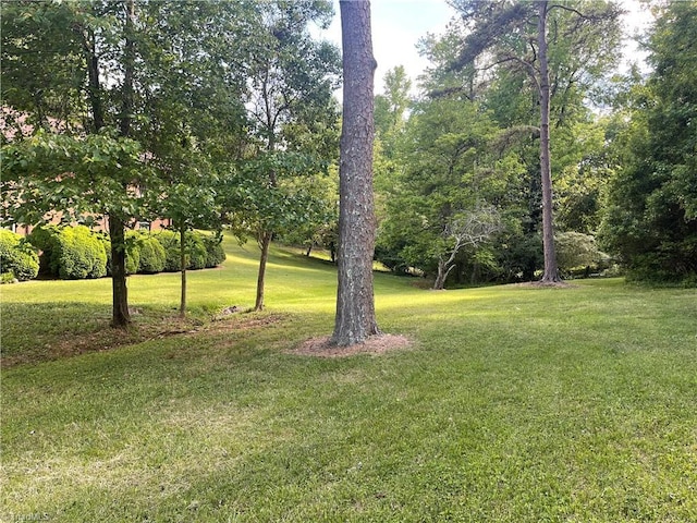 1706 Windsor Dr, High Point, NC 27262 - view of grassy yard