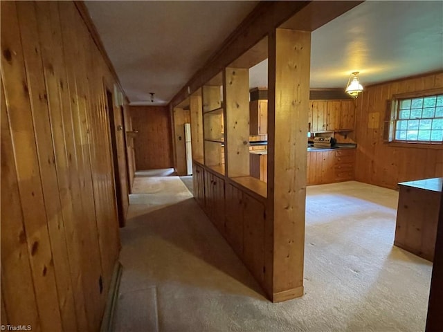 1706 Windsor Dr, High Point, NC 27262 - corridor with wood walls and light colored carpet