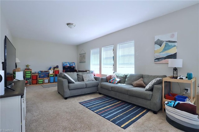 547 Historic Dr, Hillsborough, NC 27278 - living area featuring carpet