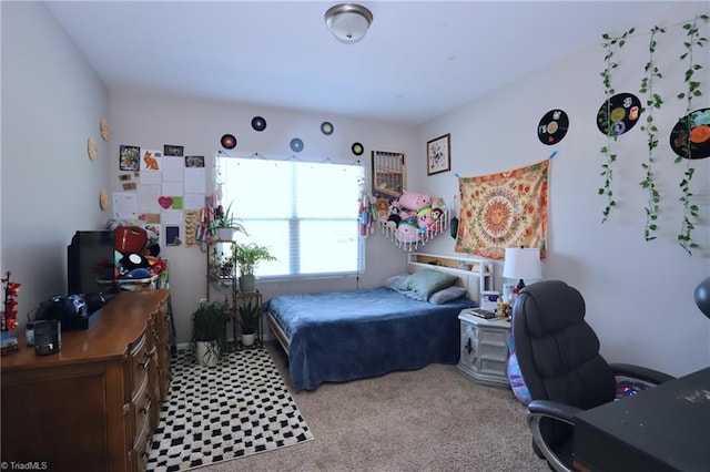 547 Historic Dr, Hillsborough, NC 27278 - view of carpeted bedroom
