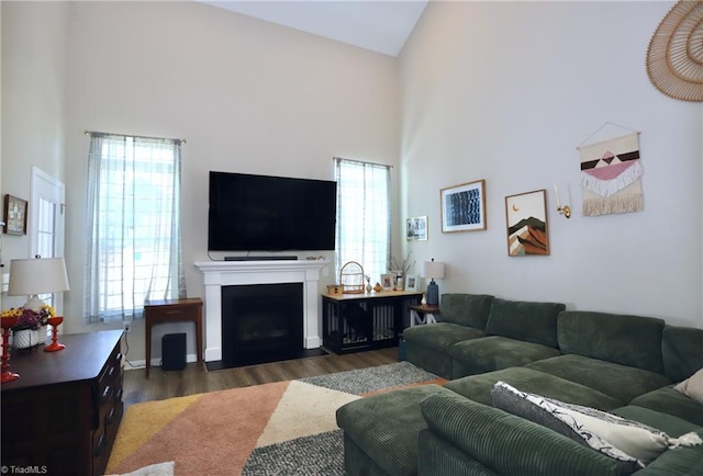 547 Historic Dr, Hillsborough, NC 27278 - living room featuring high vaulted ceiling, a fireplace with flush hearth, dark wood-style flooring, and a healthy amount of sunlight