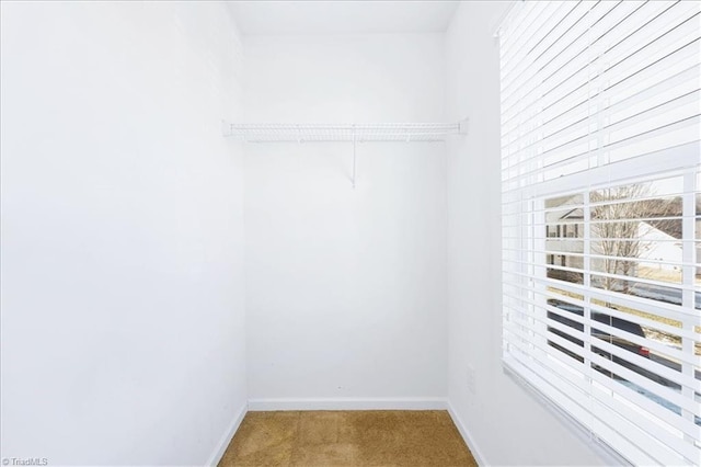 spacious closet featuring carpet floors