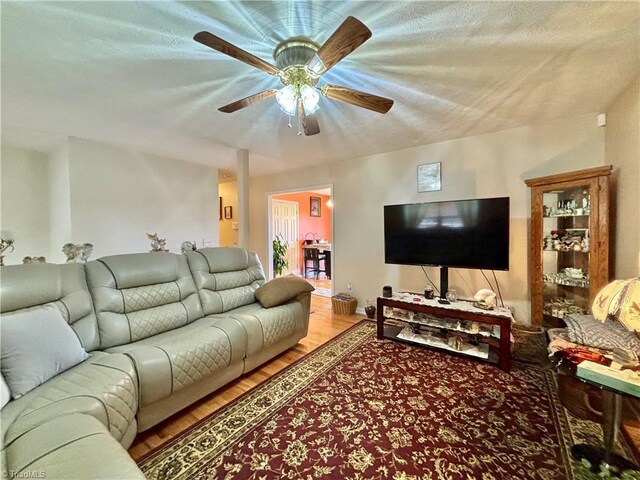 155 Page Farm Rd, Mount Airy, NC 27030 - living area with light wood finished floors and ceiling fan