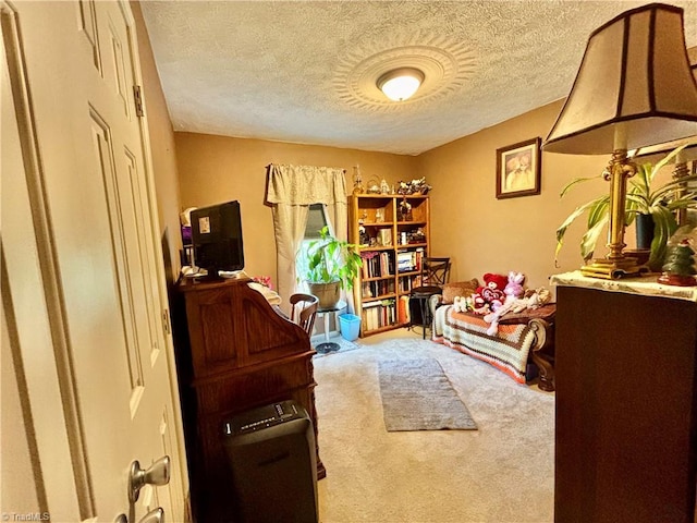 155 Page Farm Rd, Mount Airy, NC 27030 - home office featuring carpet and a textured ceiling