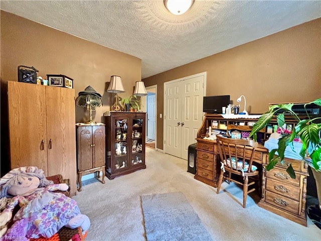 155 Page Farm Rd, Mount Airy, NC 27030 - carpeted home office with a textured ceiling