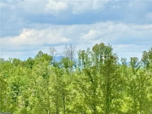 155 Page Farm Rd, Mount Airy, NC 27030 - view of local wilderness with a view of trees