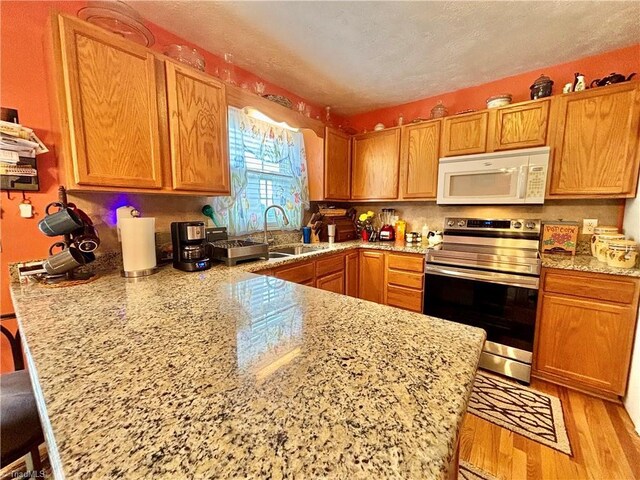 155 Page Farm Rd, Mount Airy, NC 27030 - kitchen featuring a peninsula, light wood-style flooring, a sink, stainless steel electric stove, and white microwave