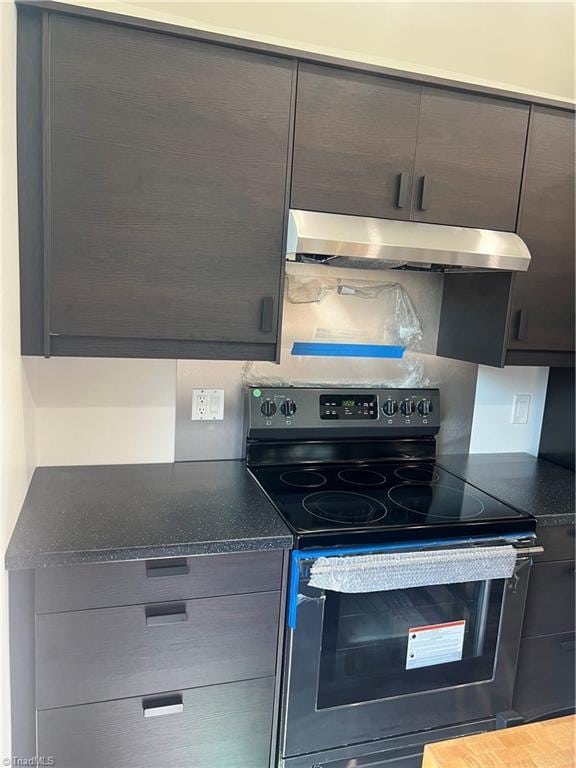 2042 Harrison Ave, Winston-Salem, NC 27105 - kitchen with range with electric stovetop and under cabinet range hood