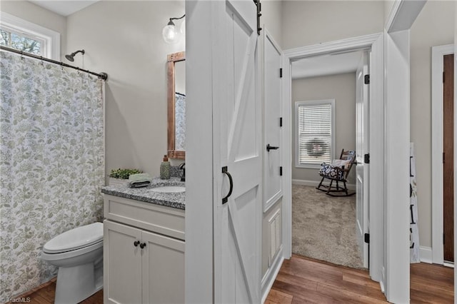 bathroom featuring hardwood / wood-style flooring, vanity, and toilet