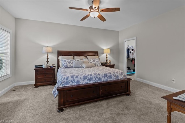 carpeted bedroom with ceiling fan, a walk in closet, and a closet