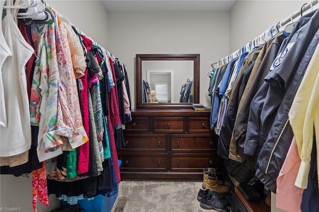 walk in closet with light carpet