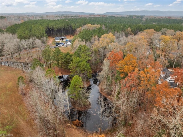 birds eye view of property featuring a mountain view