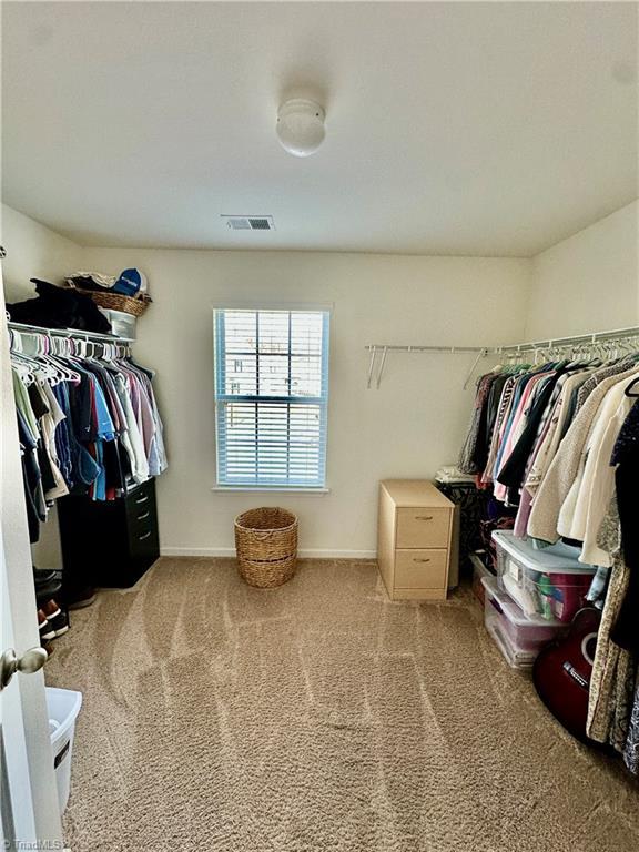 walk in closet featuring carpet floors