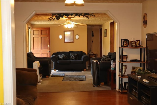 84 Sol Nunnally Rd, Pelham, NC 27311 - living room with a ceiling fan, wood finished floors, and arched walkways