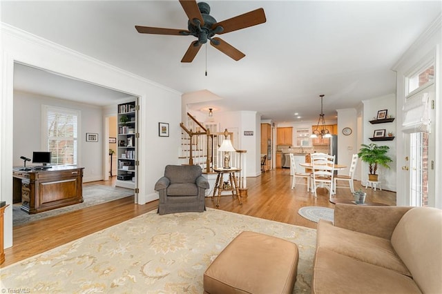 living room featuring ceiling fan, ornamental molding, and light hardwood / wood-style flooring