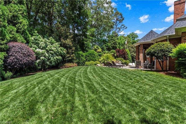 view of green lawn with a patio