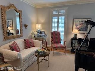 105 Finborough Ct, Kernersville, NC 27284 - living area with baseboards and ornamental molding