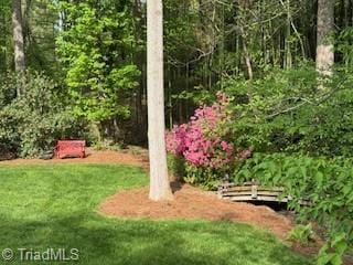 105 Finborough Ct, Kernersville, NC 27284 - view of yard with a view of trees