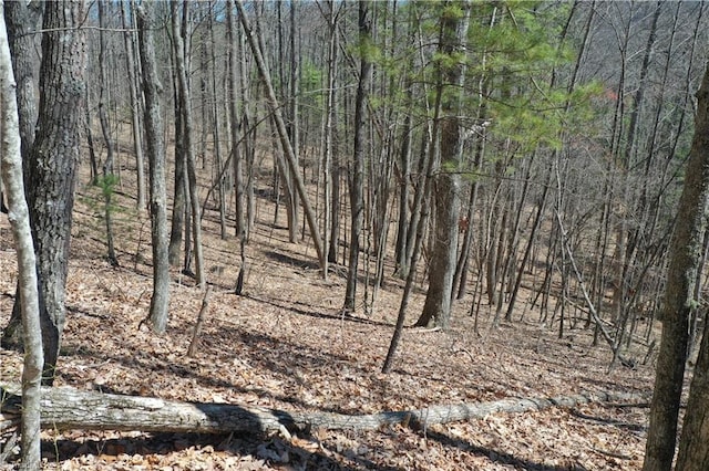 Listing photo 3 for 0 Olde Stone Dr Lot 47, Crumpler NC 28617