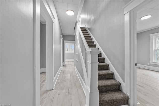 staircase with wood-type flooring and crown molding