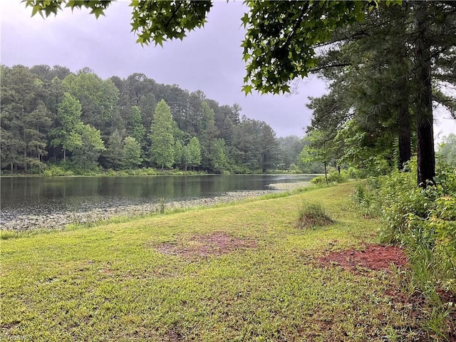 4984 US Highway 220, Asheboro, NC 27205 - water view with a heavily wooded area