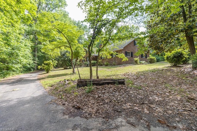 4984 US Highway 220, Asheboro, NC 27205 - view of grassy yard