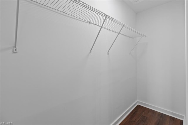 spacious closet with dark wood-style floors