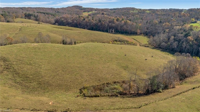 000 Austin Traphill Rd, Traphill, NC 28685