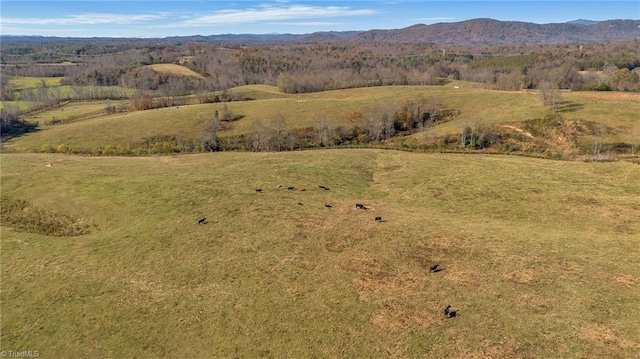 000 Austin Traphill Rd, Traphill, NC 28685