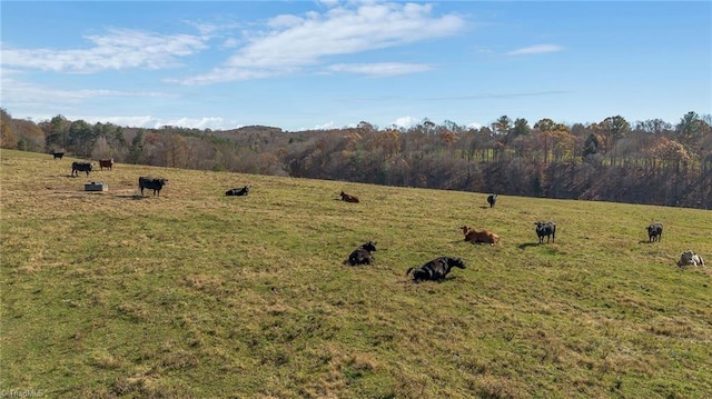 000 Austin Traphill Rd, Traphill, NC 28685