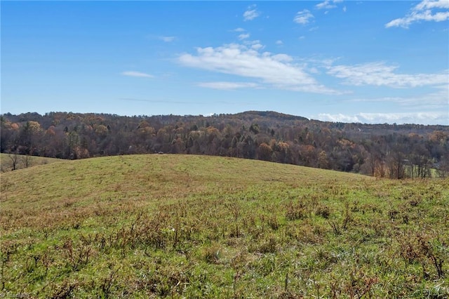 000 Austin Traphill Rd, Traphill, NC 28685