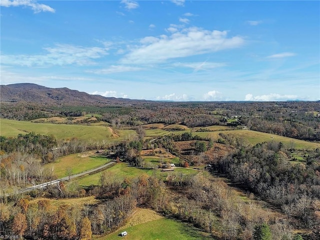 000 Austin Traphill Rd, Traphill, NC 28685