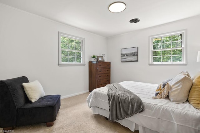317 Benbow Dr, East Bend, NC 27018 - carpeted bedroom with crown molding and baseboards