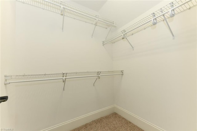 spacious closet featuring carpet flooring