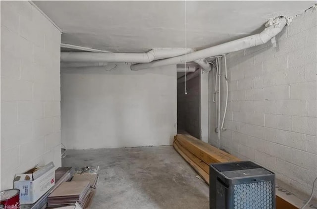 unfinished basement with concrete block wall