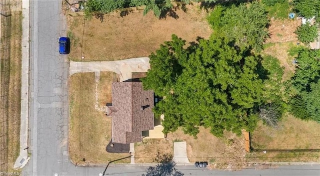 bird's eye view