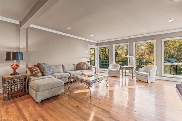 living room with light wood-type flooring and crown molding