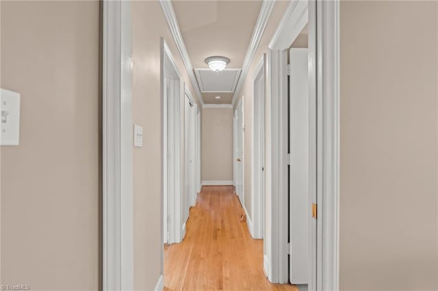 hallway featuring crown molding and light hardwood / wood-style floors